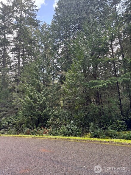 11022 Admiralty Way, Anderson Island, WA 98303