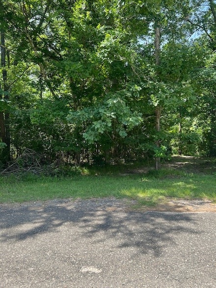 Lot 13 & 14 Big Lake Dr, Livingston, TX 77351