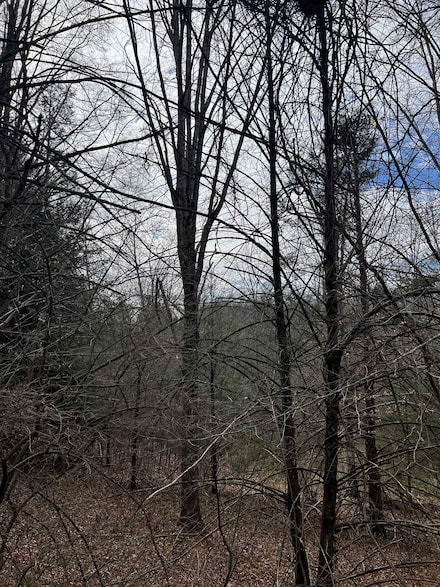 TBD Cold Springs Rd, Raphine, VA 24472