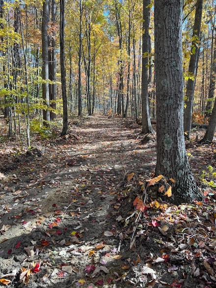 2222 Bridge Rock Rd Unit 2222, McKee, KY 40447