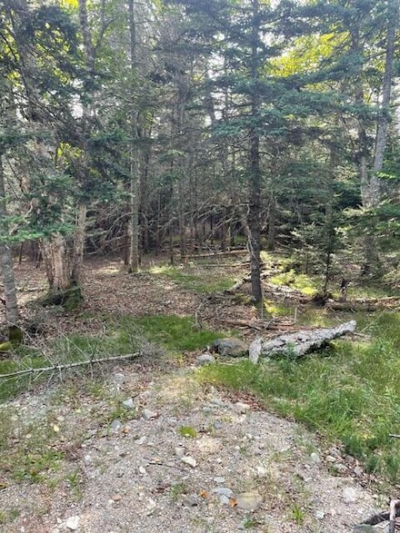 Lot 4 Sophie's Way, Tremont, ME 04653