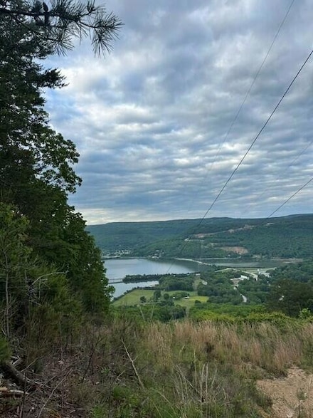 39.58 Tennessee 156, South Pittsburg, TN 37380