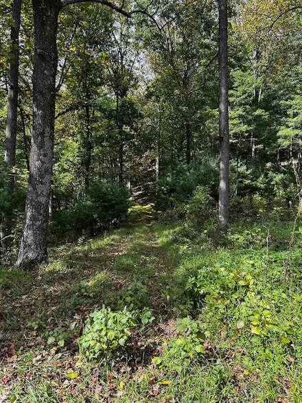 0 Rocky Branch Rd Unit 669297, Luray, VA 22835