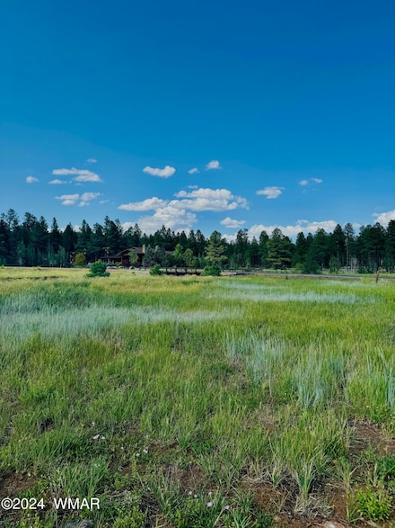 9580 Sierra Springs Dr, Pinetop, AZ 85935