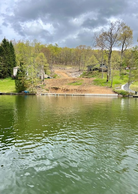 337 Flat Top Lake, Ghent, WV 25843