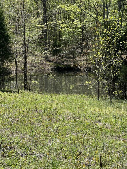 10847 Missionary Ridge Rd, Bon Aqua, TN 37025