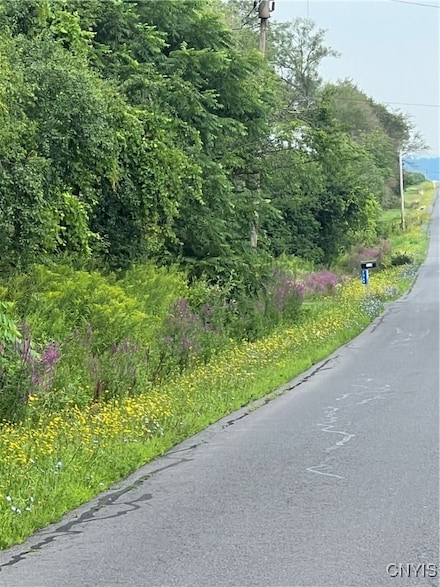 00 County Line Rd, Owasco, NY 13021