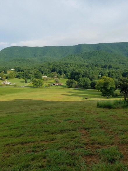 0 Pico Rd Unit 867581, Buchanan, VA 24066