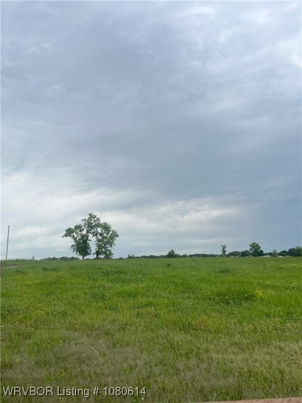 TBD Raleigh St, Lavaca, AR 72941