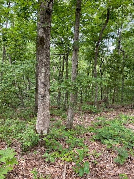 0 Eagle Nest Ln Unit RTC2534753, Big Sandy, TN 38221