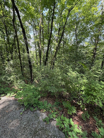 0 Wheeler Ave Unit RTC2888891, Chattanooga, TN 37406