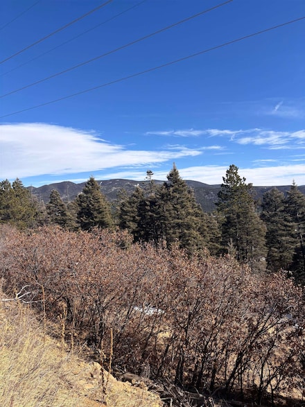 Lot 2 Sierra Blanca Trail, Angel Fire, NM 87710