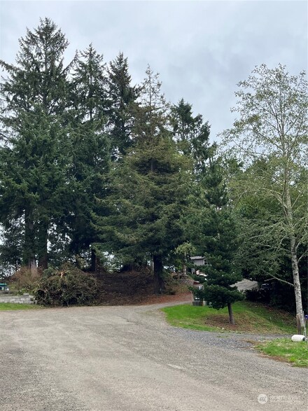 3218 xx 241st Place, Ocean Park, WA 98640
