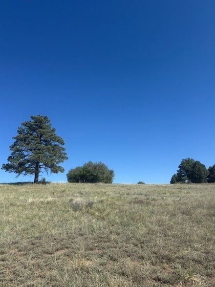 Lot 9 1796 (Deer Trail), Chama, NM 87520