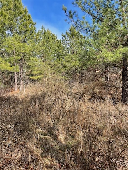 680 Timber Creek Trails South Xl, Broken Bow, OK 74728