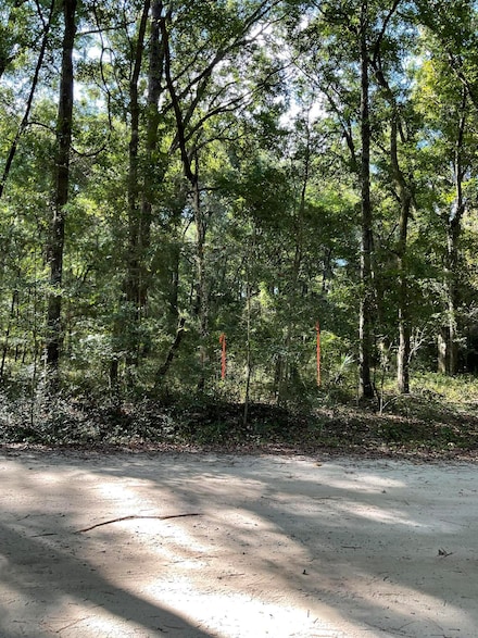 2437 S Rockland Ave, Rockville, SC 29487