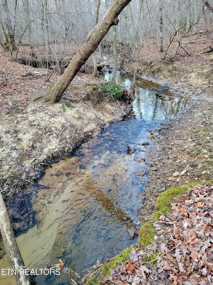 0 Creek Place Unit 1291682, Monterey, TN 38574