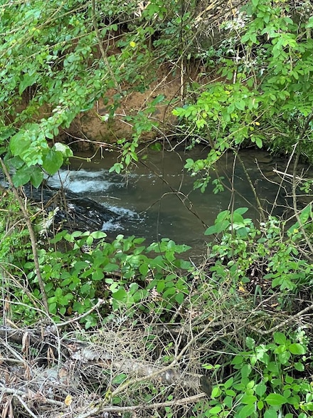 42.79 Hiwassee Dam Access Rd, Murphy, NC 28906