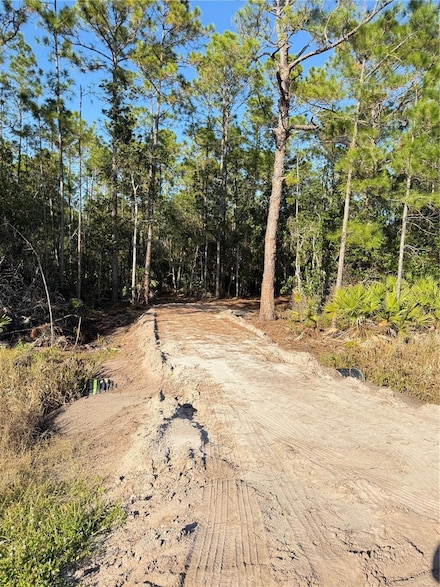 0 E Colonial Dr Unit MFRS5139120, Christmas, FL 32709