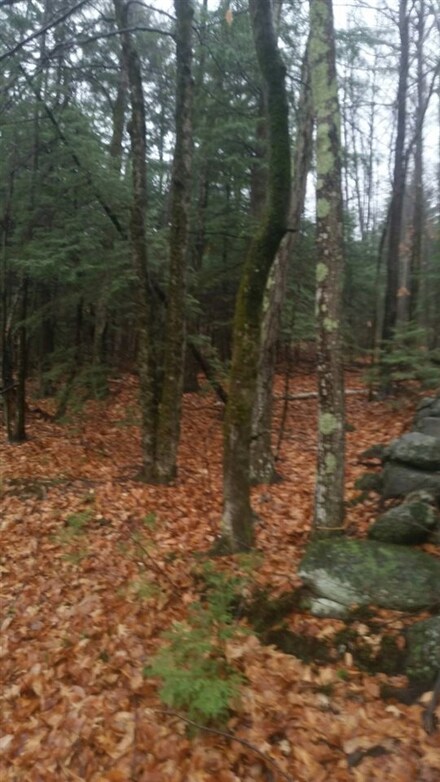 0 Onset Rd, Bennington, NH 03442