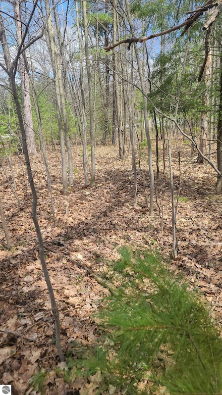0001 Laura Ln Unit 8, Kalkaska Township, MI 49646