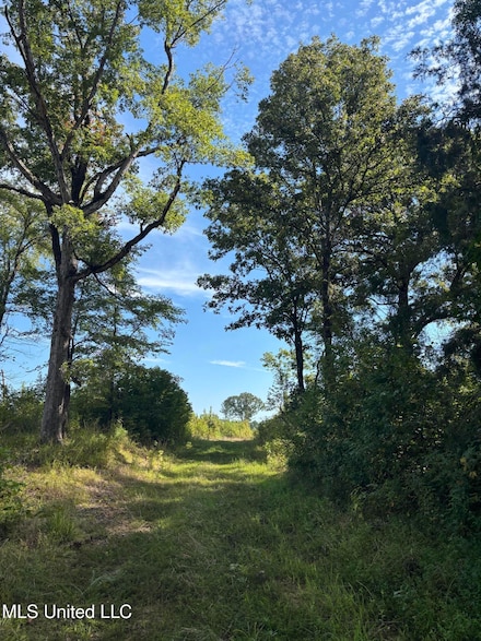 0 Ebenezer-Coxburg Rd, Lexington, MS 39095