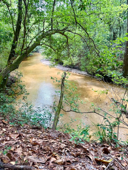 50 Acres Us Highway 331, Defuniak Springs, FL 32433