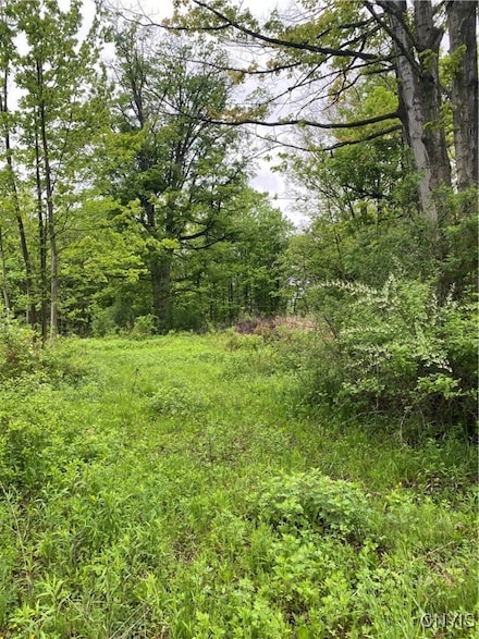 0 Seymour Ln, Westmoreland, NY 13490