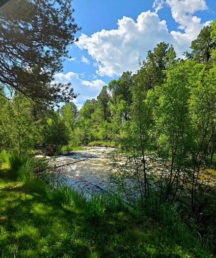 10 Lodore Ave, Story, WY 82842