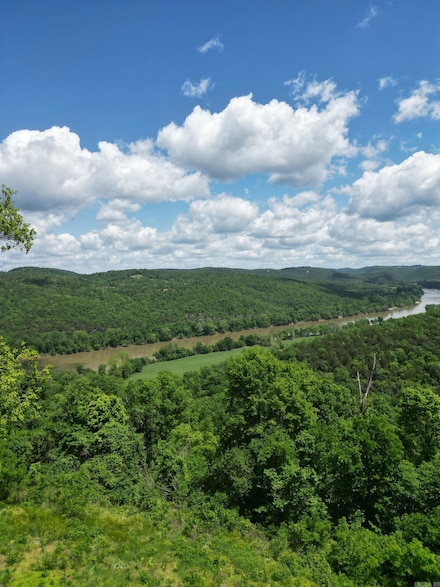 000 Eagle Point Rd, Mountain View, AR 72560