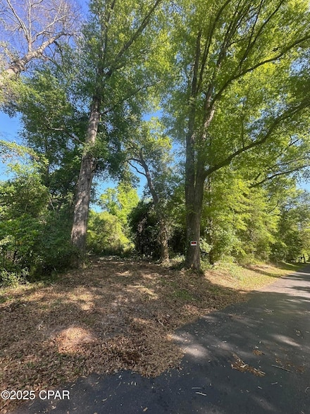 00 Marcus Dr, Greenwood, FL 32443