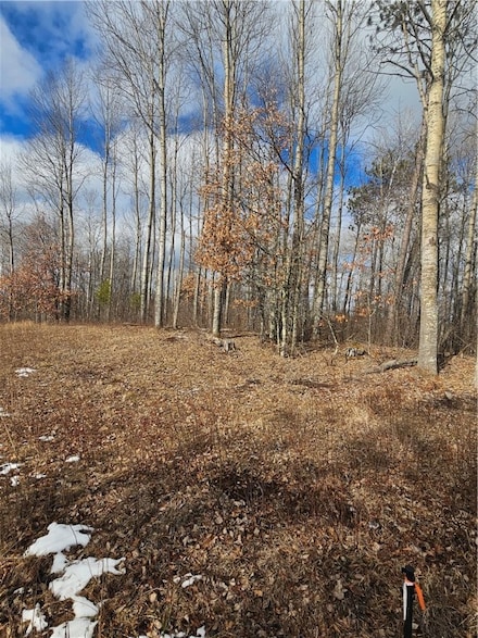 LOT 4 Lot 4 Fire Hill Rd, Gordon, WI 54838