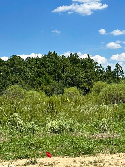 0 Hampton Ridge Ct Unit 351796, Mobile, AL 36608