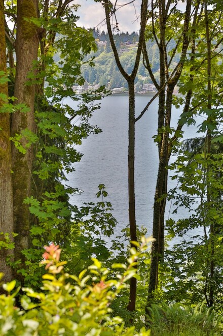 2232 E Lake Sammamish Pkwy NE, Sammamish, WA 98074