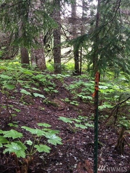 70 Alta Loop, Snoqualmie Pass, WA 98068
