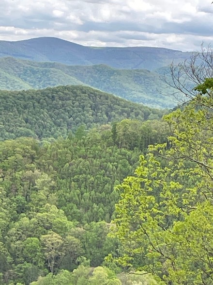 Rt 41 Mill St, Mill Creek, WV 26280