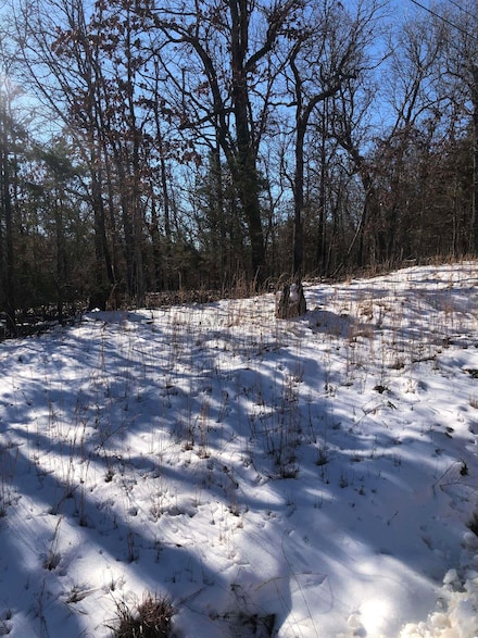73 Pinecrest Rd, Hardy, AR 72542