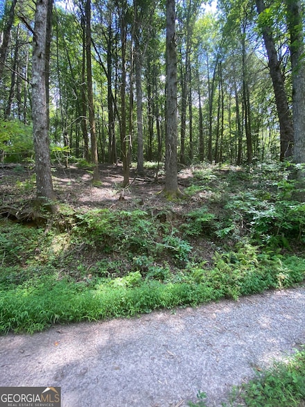 HEMLOCK Hemlock Trail, Blue Ridge, GA 30513