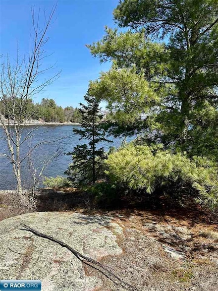 TBD Land, Kabetogama, MN 56669