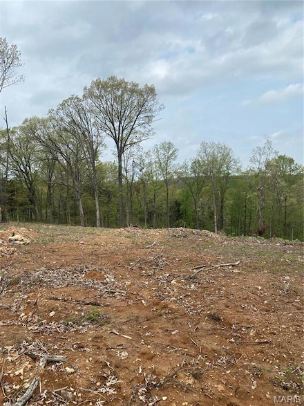 8819 Helujon Acres Dr, Hillsboro, MO 63050