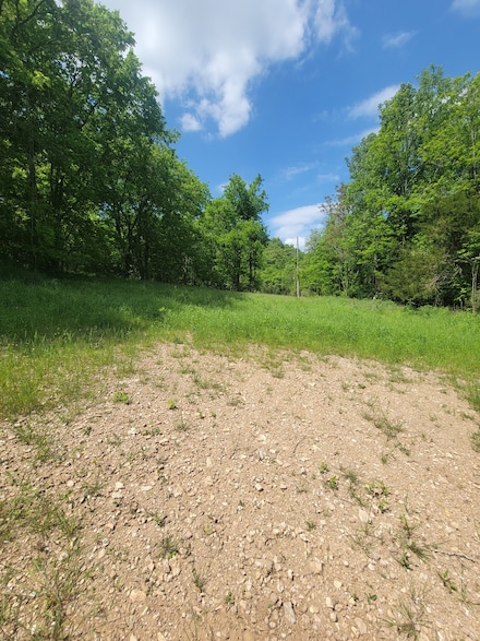 0 Gossburg Rd Unit RTC2516922, Beechgrove, TN 37018