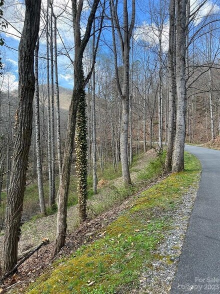 00 N Country Club Dr, Cullowhee, NC 28723