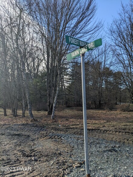 299 Forest Ridge Dr, Lackawaxen Township, PA 18428