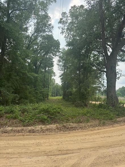 000 Barber Rd, Brinson, GA 39825