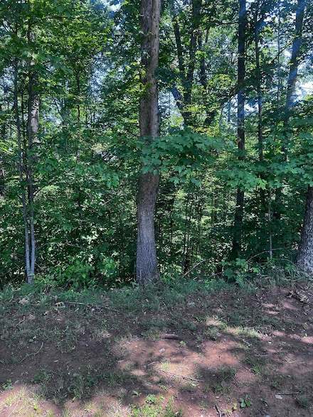 LT 24 Jericho Rd, Ona, WV 25545