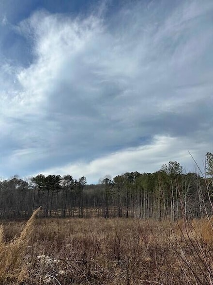 Tract 11 Dykes Hollow Rd, Tracy City, TN 37387
