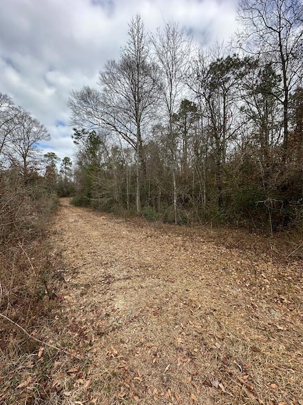 0 Barbara Ln, Lumberton, MS 39470