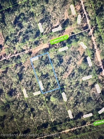 1017 Norwood St, Lake Placid, FL 33852