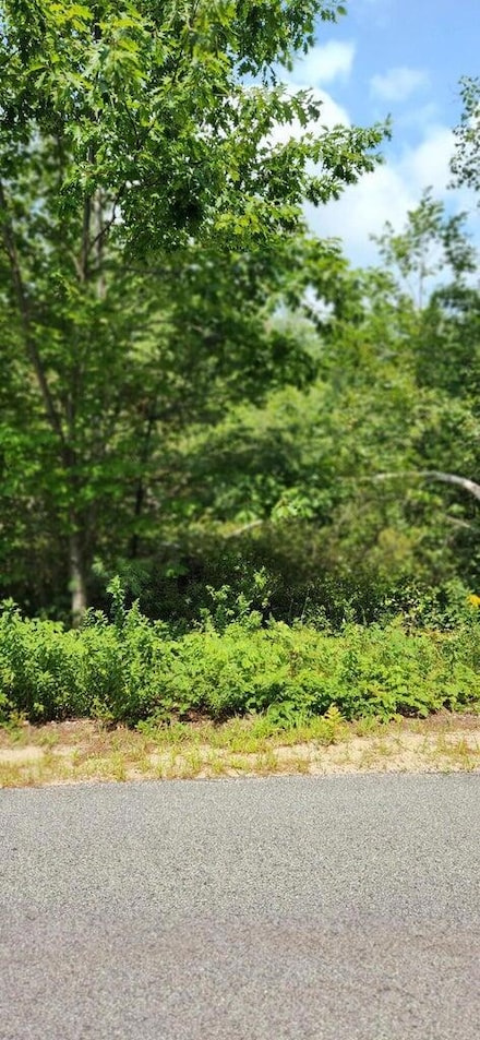 Lot#33 Shore Acres Rd, Parsonsfield, ME 04047