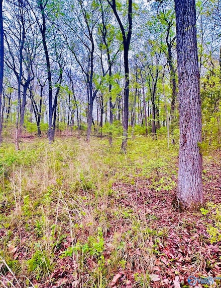 Lot 14 Murray Dr SE, Decatur, AL 35603
